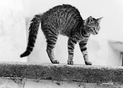 f1cbf54427b4494f8a12fa59483226e9~tplv-a9rns2rl98-pc_smart_face_crop-v1_512_384.jpg f1cbf54427b4494f8a12fa59483226e9~tplv-a9rns2rl98-pc_smart_face_crop-v1_512_384.jpg