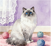 生成猫的图片 (1)(1)(1).png