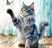 《新手养宠核心要点》