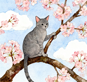 猫咪是领地性极强的动物,会通过各种方式标记 “专属区域”,确保生存空间安全。