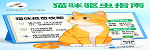 猫咪疫苗和驱虫攻略