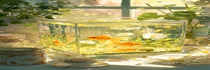 新手养金鱼零失败指南：不换水也能水清鱼靓